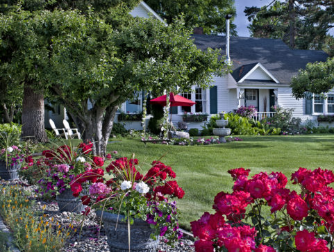 front on inn, lawn, garden, roses, trees, chairs, umbrella, swing